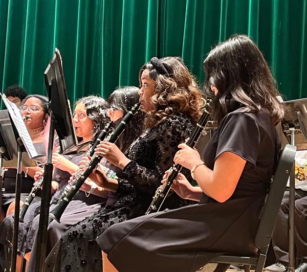 The wind section